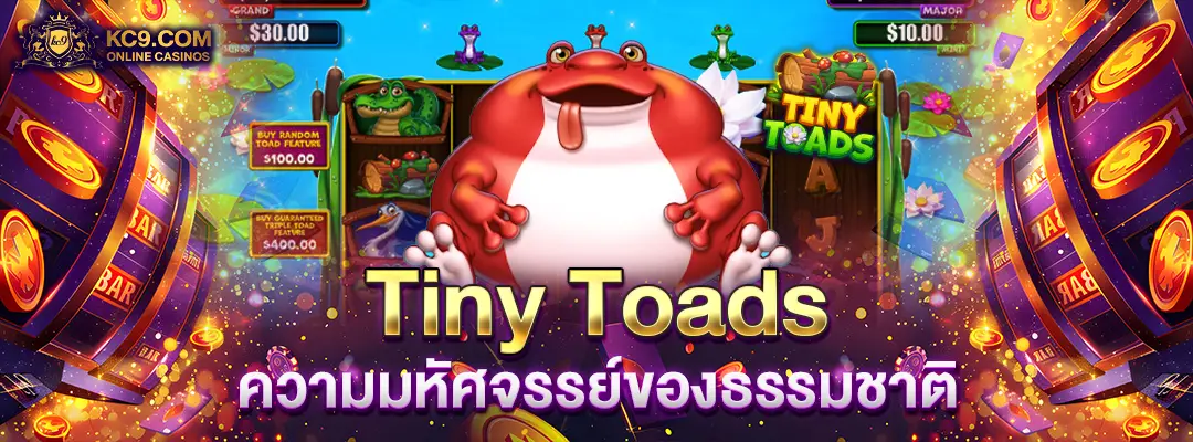 Tiny Toads ความมหัศจรรย์ของธรรมชาติ